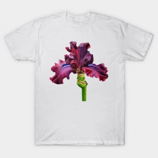 Purple Iris T-Shirt